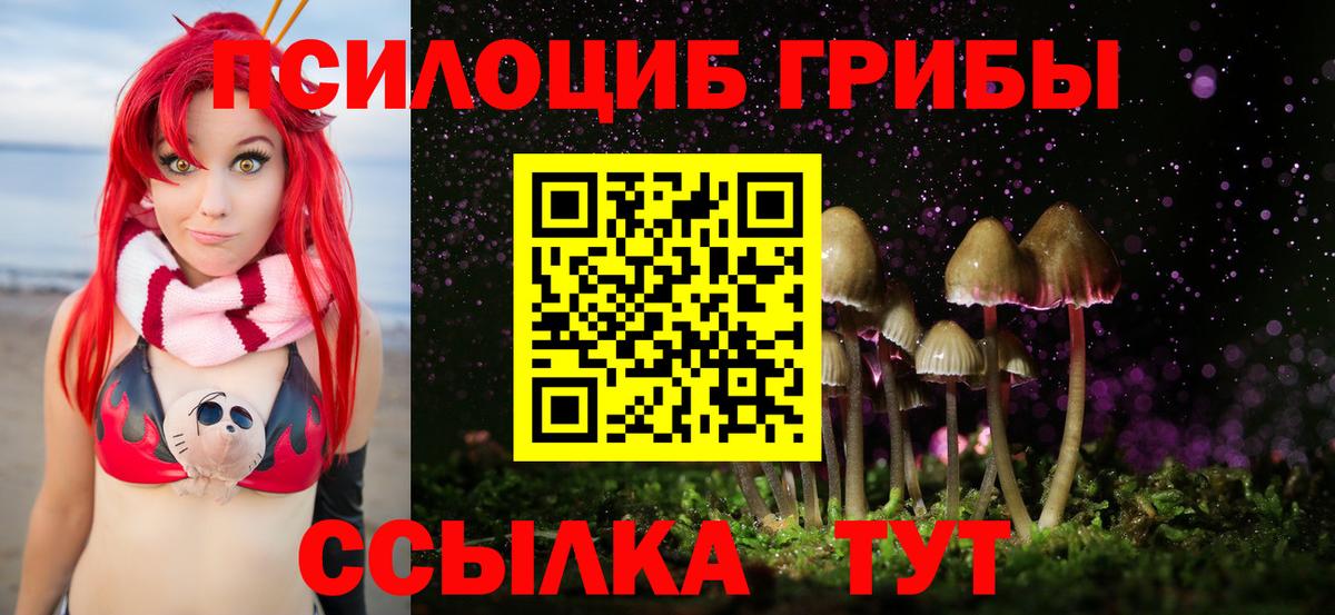 закладки  Псилоцибиновые грибы Cubensis  Вход с VPN  Рузаевка 