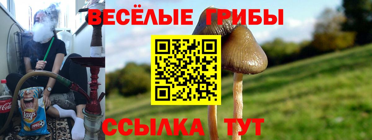 Псилоцибиновые грибы прущие грибы Рузаевка